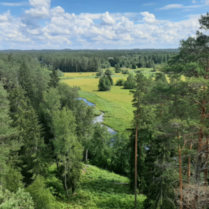 Loodusvaade Lahemaal – metsad ja jõgi rahulikus orus